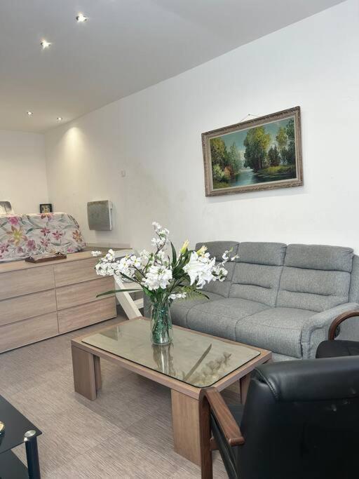 Magnifique Studio Apartment Marseilles